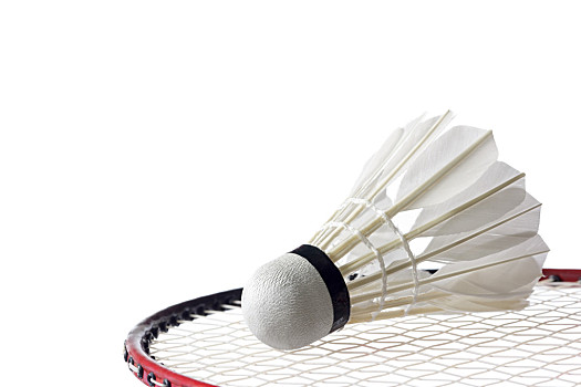 伤病与战术 伤病与战术