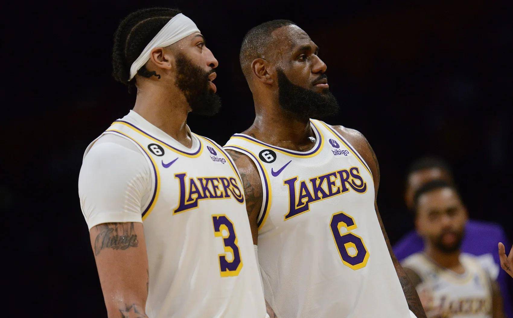 对新手极为 对新手极为